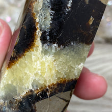 Bild in Galerie-Viewer laden, Septarian Double Point #10 - 6.94"/176mm