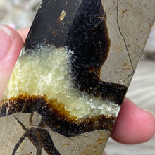 Bild in Galerie-Viewer laden, Septarian Double Point #10 - 6.94"/176mm