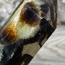 Bild in Galerie-Viewer laden, Septarian Double Point #10 - 6.94"/176mm