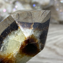 Bild in Galerie-Viewer laden, Septarian Double Point #10 - 6.94"/176mm