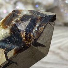 Bild in Galerie-Viewer laden, Septarian Double Point #10 - 6.94"/176mm