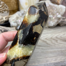 Bild in Galerie-Viewer laden, Septarian Double Point #10 - 6.94"/176mm
