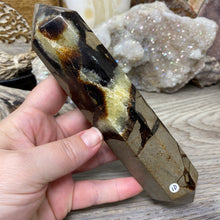Bild in Galerie-Viewer laden, Septarian Double Point #10 - 6.94"/176mm