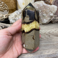 Bild in Galerie-Viewer laden, Septarian Double Point #11 - 5.50"/139mm