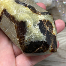 Bild in Galerie-Viewer laden, Septarian Double Point #11 - 5.50"/139mm