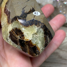 Bild in Galerie-Viewer laden, Septarian Double Point #11 - 5.50"/139mm
