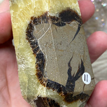 Bild in Galerie-Viewer laden, Septarian Double Point #11 - 5.50"/139mm