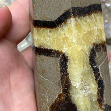 Bild in Galerie-Viewer laden, Septarian Double Point #11 - 5.50"/139mm