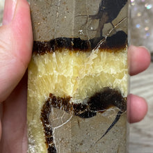 Bild in Galerie-Viewer laden, Septarian Double Point #11 - 5.50"/139mm