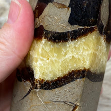 Bild in Galerie-Viewer laden, Septarian Double Point #11 - 5.50"/139mm