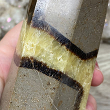 Bild in Galerie-Viewer laden, Septarian Double Point #11 - 5.50"/139mm