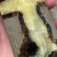 Bild in Galerie-Viewer laden, Septarian Double Point #11 - 5.50"/139mm