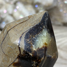 Bild in Galerie-Viewer laden, Septarian Double Point #11 - 5.50"/139mm