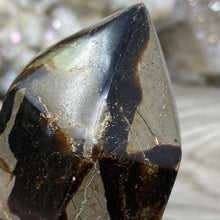 Bild in Galerie-Viewer laden, Septarian Double Point #11 - 5.50"/139mm