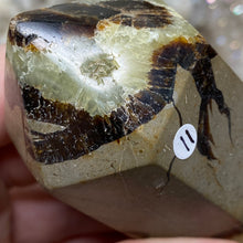 Bild in Galerie-Viewer laden, Septarian Double Point #11 - 5.50"/139mm