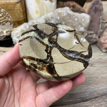 Load image into Gallery viewer, Septarian Bowl #02 - 3.35" x 1.24"