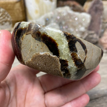 Load image into Gallery viewer, Septarian Bowl #02 - 3.35" x 1.24"