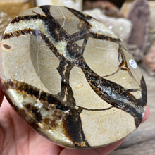 Load image into Gallery viewer, Septarian Bowl #02 - 3.35" x 1.24"