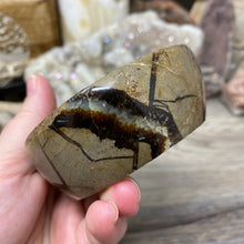 Load image into Gallery viewer, Septarian Bowl #03 - 3.32" x 1.20"