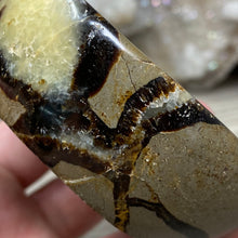 Load image into Gallery viewer, Septarian Bowl #03 - 3.32" x 1.20"