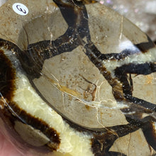 Load image into Gallery viewer, Septarian Bowl #03 - 3.32" x 1.20"