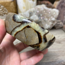 Load image into Gallery viewer, Septarian Bowl #06 - 3.63" x 1.16"