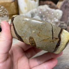 Load image into Gallery viewer, Septarian Bowl #06 - 3.63" x 1.16"