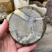 Load image into Gallery viewer, Septarian Bowl #06 - 3.63" x 1.16"