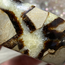 Load image into Gallery viewer, Septarian Bowl #06 - 3.63" x 1.16"