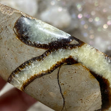 Load image into Gallery viewer, Septarian Bowl #06 - 3.63" x 1.16"