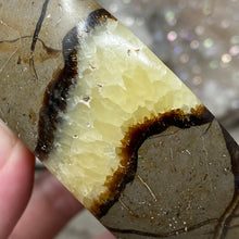 Load image into Gallery viewer, Septarian Bowl #06 - 3.63" x 1.16"