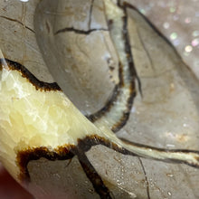 Load image into Gallery viewer, Septarian Bowl #06 - 3.63" x 1.16"