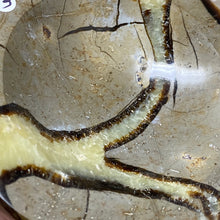 Load image into Gallery viewer, Septarian Bowl #06 - 3.63" x 1.16"