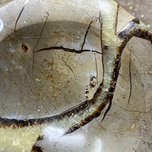 Load image into Gallery viewer, Septarian Bowl #06 - 3.63" x 1.16"