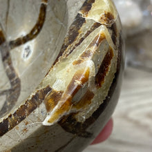 Load image into Gallery viewer, Septarian Bowl #07 - 3.57" x 1.31"