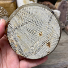 Load image into Gallery viewer, Septarian Bowl #07 - 3.57" x 1.31"