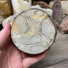 Load image into Gallery viewer, Septarian Bowl #08 - 3.43" x 1.38"