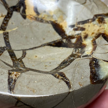 Load image into Gallery viewer, Septarian Bowl #08 - 3.43" x 1.38"