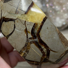 Load image into Gallery viewer, Septarian Bowl #08 - 3.43" x 1.38"