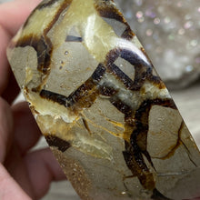 Load image into Gallery viewer, Septarian Bowl #08 - 3.43" x 1.38"