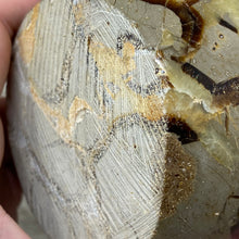 Load image into Gallery viewer, Septarian Bowl #08 - 3.43" x 1.38"