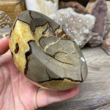 Load image into Gallery viewer, Septarian Bowl #09 - 3.90" x 1.30"