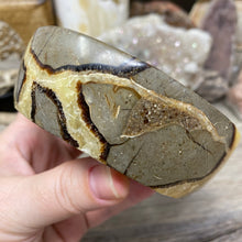 Load image into Gallery viewer, Septarian Bowl #09 - 3.90" x 1.30"