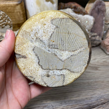 Load image into Gallery viewer, Septarian Bowl #09 - 3.90" x 1.30"