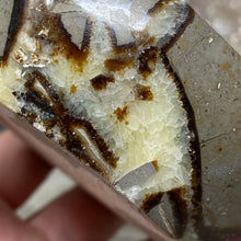 Load image into Gallery viewer, Septarian Bowl #10 - 3.80" x 1.28"