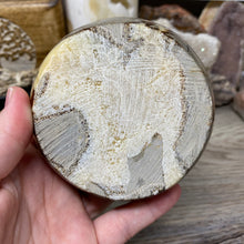 Load image into Gallery viewer, Septarian Bowl #10 - 3.80" x 1.28"