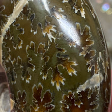 Bild in Galerie-Viewer laden, Ammonite Whole #09
