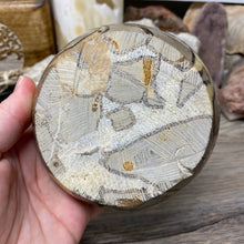 Load image into Gallery viewer, Septarian Bowl #13 - 4.27" x 1.55"