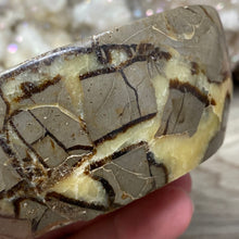 Load image into Gallery viewer, Septarian Bowl #13 - 4.27" x 1.55"