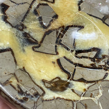 Load image into Gallery viewer, Septarian Bowl #13 - 4.27" x 1.55"